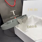 kitlife Dior belt - 2cm gray - 1