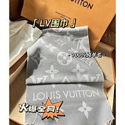 kitlife Louis Vuitton Scarf new 2024 - 2