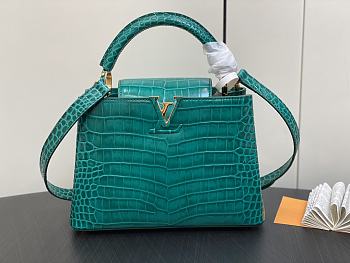 kitlife Louis Vuitton Capucines BB Green bag - 27 x 18 x 9cm