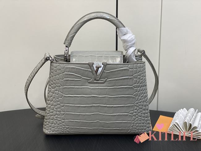 kitlife Louis Vuitton Capucines BB Gray bag - 27 x 18 x 9cm - 1