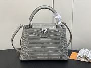 kitlife Louis Vuitton Capucines BB Gray bag - 27 x 18 x 9cm - 1