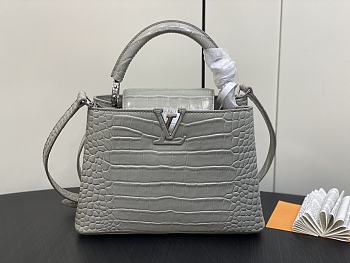 kitlife Louis Vuitton Capucines BB Gray bag - 27 x 18 x 9cm