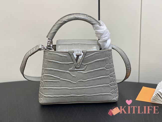 kitlife Louis Vuitton Capucines BB Gray bag - 21x14x8 cm - 1