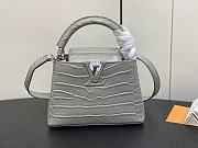 kitlife Louis Vuitton Capucines BB Gray bag - 21x14x8 cm - 1