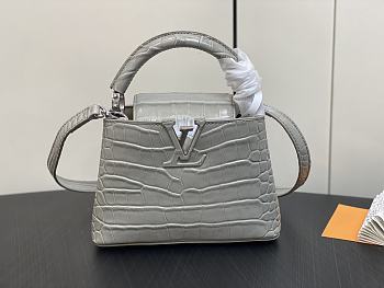 kitlife Louis Vuitton Capucines BB Gray bag - 21x14x8 cm