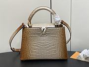 kitlife Louis Vuitton Capucines BB bag - 27 x 18 x 9cm - 1