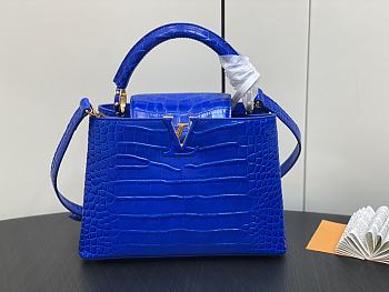 kitlife Louis Vuitton Capucines BB bag Blue - 27 x 18 x 9cm