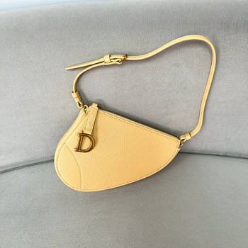 kitlife Dior Saddle Pouch Yellow bag -20x15x4cm 