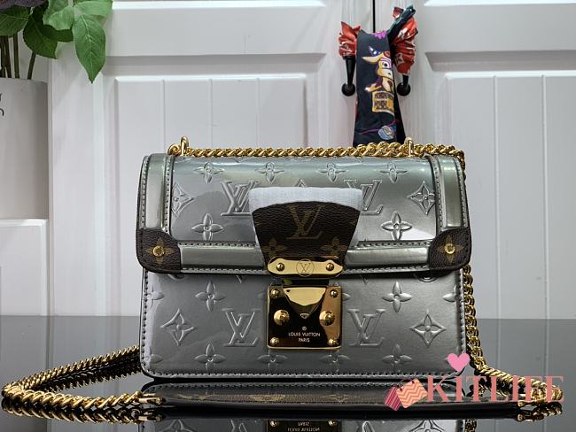Kitlife Louis vuitton Wynwood Shoulder Gray bag - 21x14x9 cm - 1
