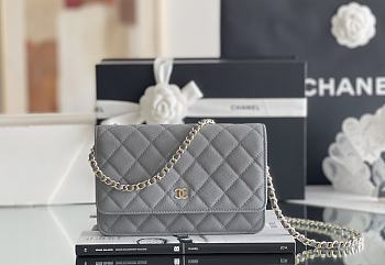 kitlife Chanel WOC Gray Bag - 12x19x4 cm