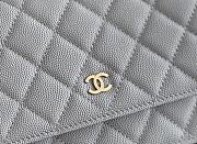 kitlife Chanel WOC Gray Bag - 12x19x4 cm - 2