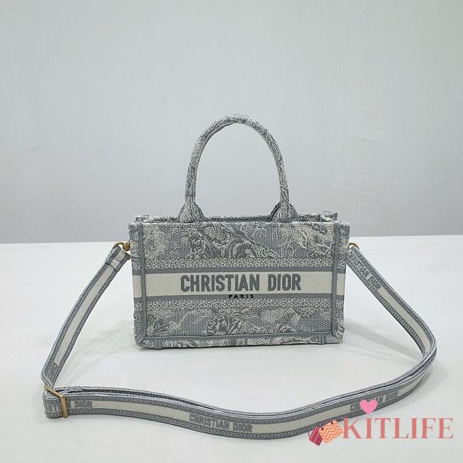 Kitlife Dior book tote Maria Grazia Chiuri Gray bag - 21.5 x 13 x 7.5 cm - 1