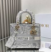 Kitlife Dior Lady D-life Gray bag - 24x20x11cm - 1