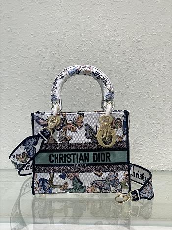 kitlife Dior lady butterfly bag - 24x20x11cm