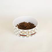 Gucci Pet Bowl  - 1