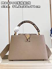 kitlife Louis Vuitton Capucines Python Shoulder gray Bag 31x20x11 cm - 1