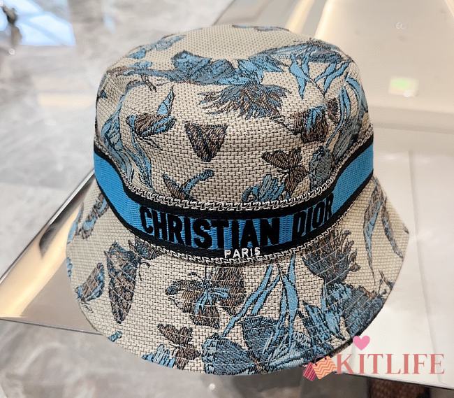 Kitlife Dior hat 01 - 1