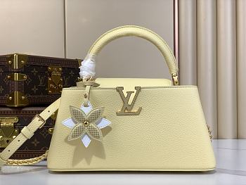 kitlife Louis vuitton Capucines East-West Mini yellow bag - 16.5 x 9 x 29 cm