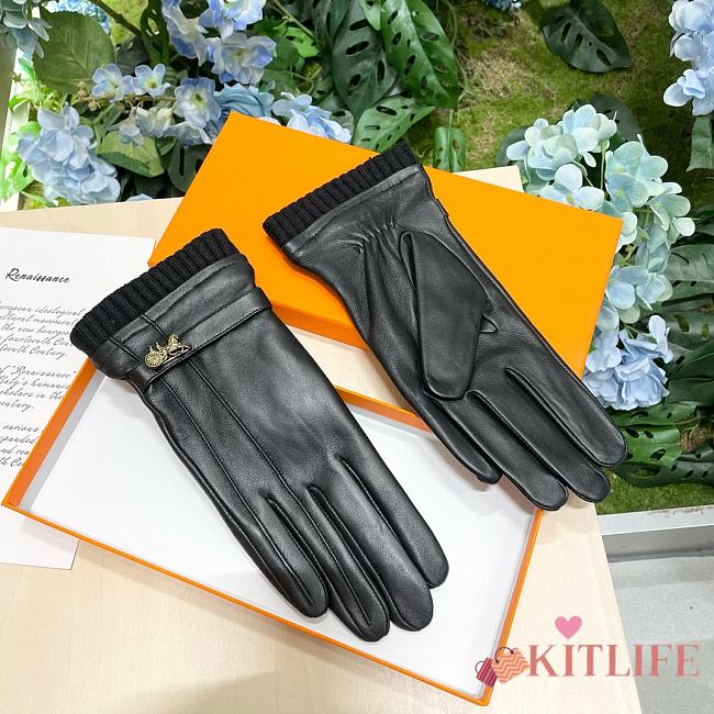 Kitlife Louis Vuitton Gloves 10 - 1