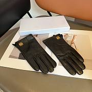 Kitlife Loewe Gloves 15 - 5