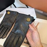 Kitlife Loewe Gloves 15 - 4