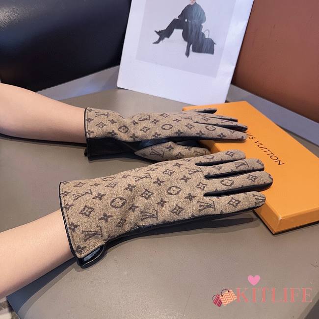 Kitlife Louis Vuitton Gloves 23 - 1