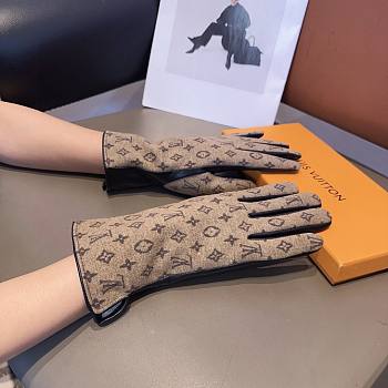 Kitlife Louis Vuitton Gloves 23