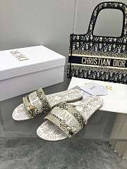 kitlife Dior Dway Slide AB - 6