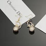 Kitlife Dior earrings 34 - 4