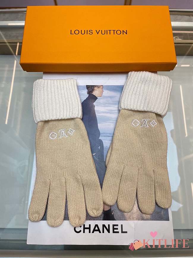 Kitlife LV Gloves 29 - 1