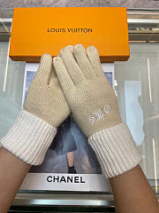 Kitlife LV Gloves 29 - 3