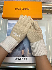 Kitlife LV Gloves 29 - 2