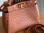 Kitlife Fendi Peekaboo Mini  cotto color ostrich leather bag - 23x18x12cm  - 3