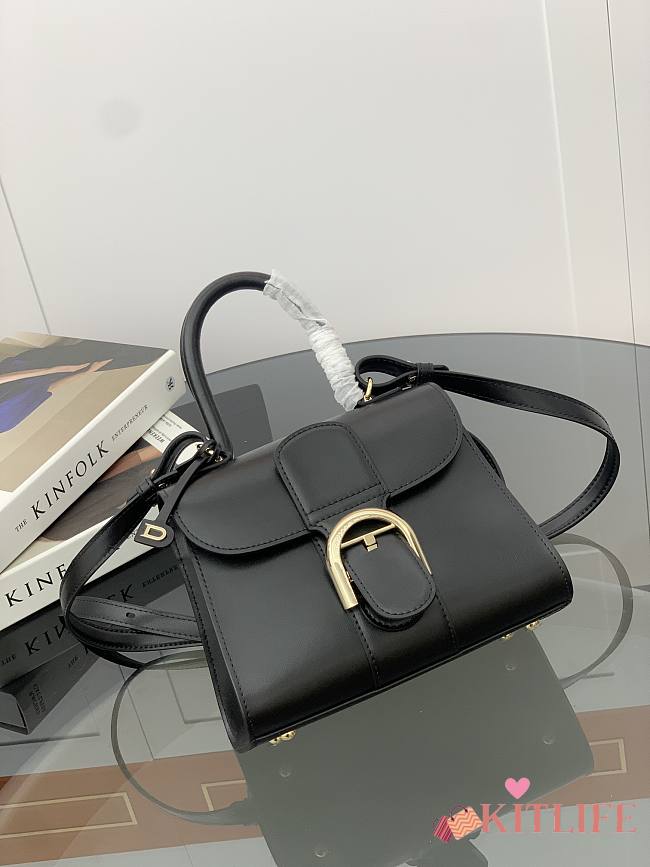 Kitlife Delvaux Brillant Box Leather Bag in Black 20x10x16cm - 1