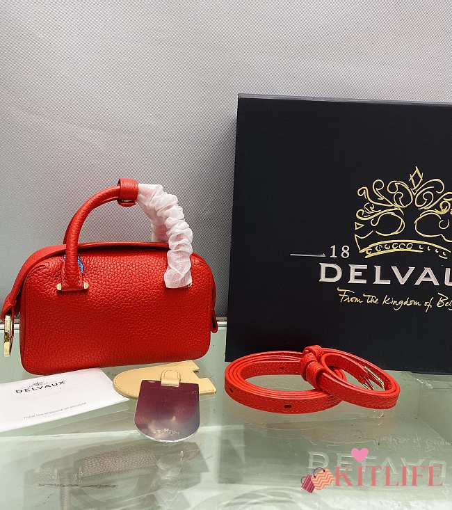 Kitlife Delvaux Coolbox Nano Bag in Red 16.5x7.5x11cm - 1