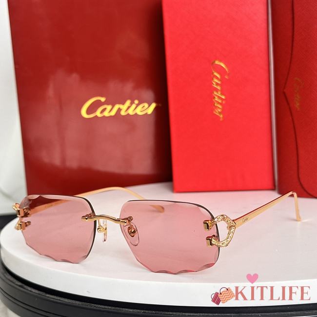 Kitlife Cartier Sunglasses CT0574S - 1