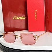Kitlife Cartier Sunglasses CT0574S - 1