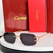 Kitlife Cartier Sunglasses CT0574S - 4