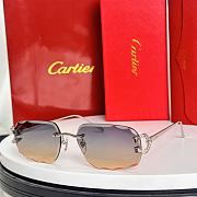 Kitlife Cartier Sunglasses CT0574S - 5