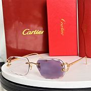 Kitlife Cartier Sunglasses CT0574S - 6