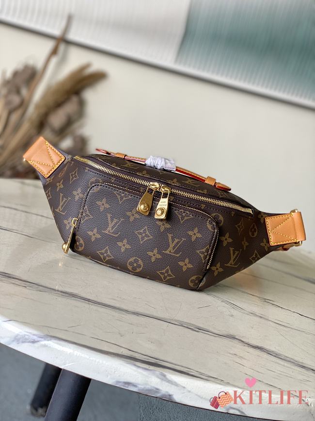 Kitlife Louis Vuitton Rush Bumbag Brown M14019 30x15x8cm - 1