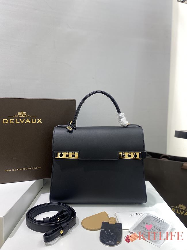 Kitlife Delvaux Tempete MM Bag Black Gold Buckle 28cm - 1