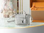Kitlife Louis Vuitton Vanity Chain Pouch Light Grey M13593 11.5x6.5x19cm - 1