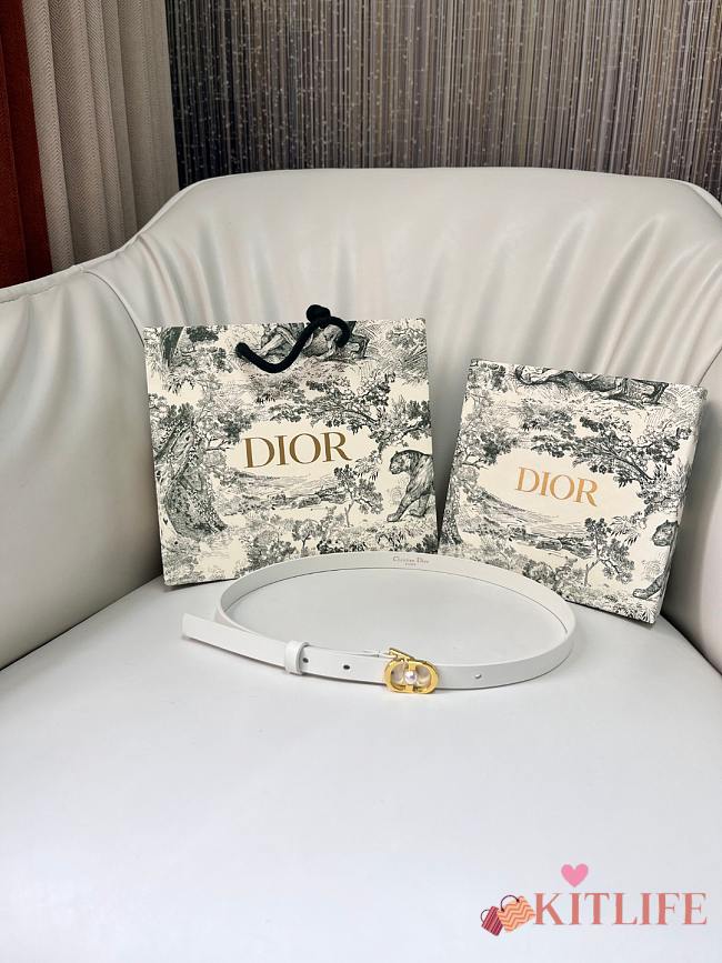 Kitlife Dior 30 Montaigne Jolie Belt White Smooth Calfskin 1.5cm - 1