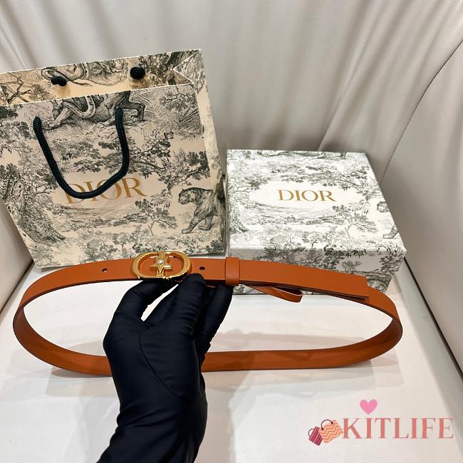 Kitlife Dior Lucky 30 Montaigne Star Belt Brown 2cm - 1