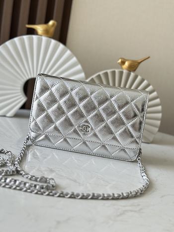 Kitlife Chanel Woc Silver Bag 19cm