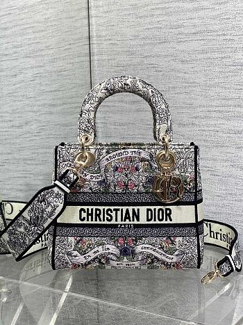 Kitlife Dior Lady Latte Embroidery with Multicolor Dior Around the World Motif Bag 24x11x20cm
