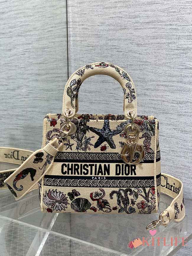 Kitlife Dior Lady Marine Embroidery Bag Beige 24x11x20cm  - 1