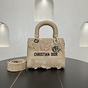 Kitlife Dior Lady Soleil Jouy Motif Bag Beige 24cm - 1