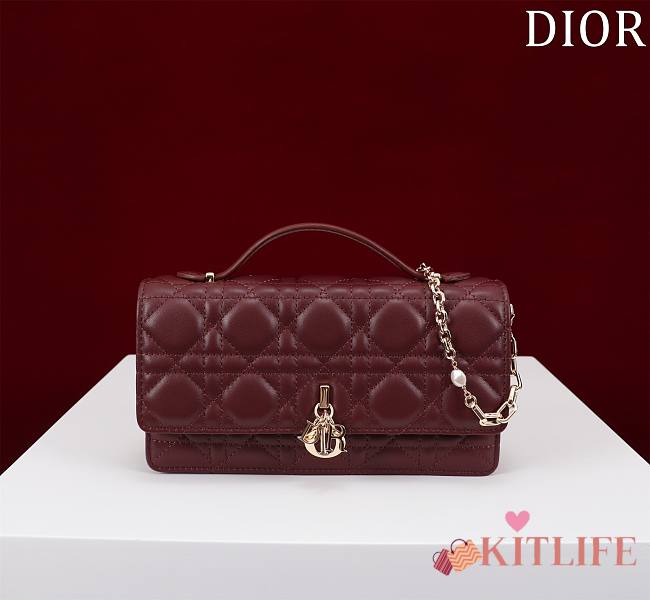 Kitlife Dior My Dior Mini Bag Burgundy Cannage Lambskin 21x11.5x4.5cm - 1